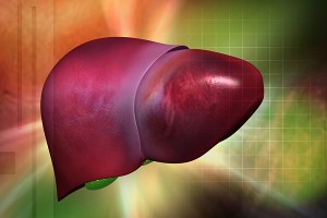 Как повысить белок в крови при циррозе thumbnail