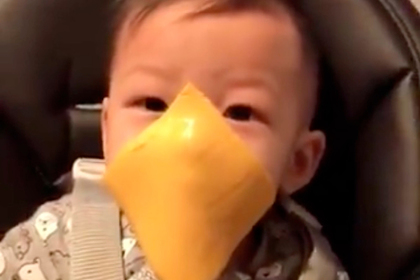 Родители начали массово швырять куски сыра в лица детей